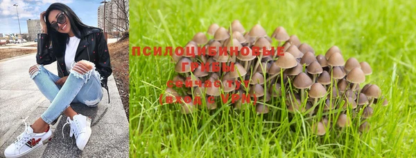 бошки Балахна