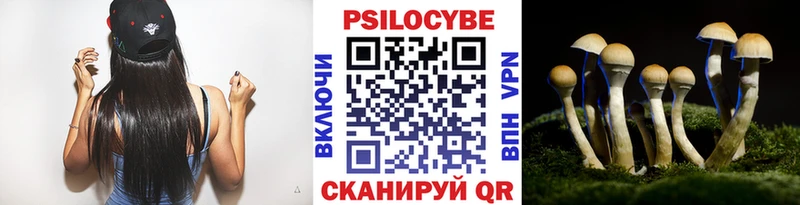MEGA вход  сколько стоит  Пестово  Псилоцибиновые грибы MAGIC MUSHROOMS 