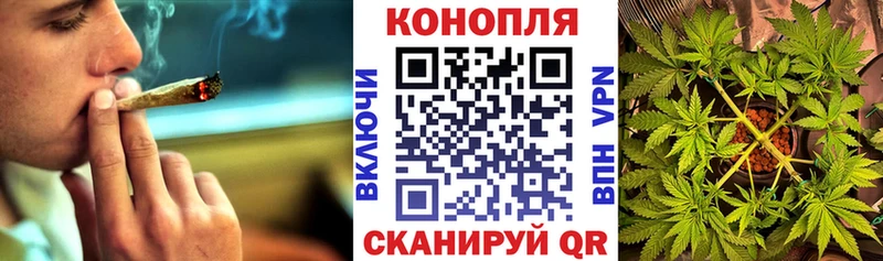 Каннабис марихуана  Пестово 